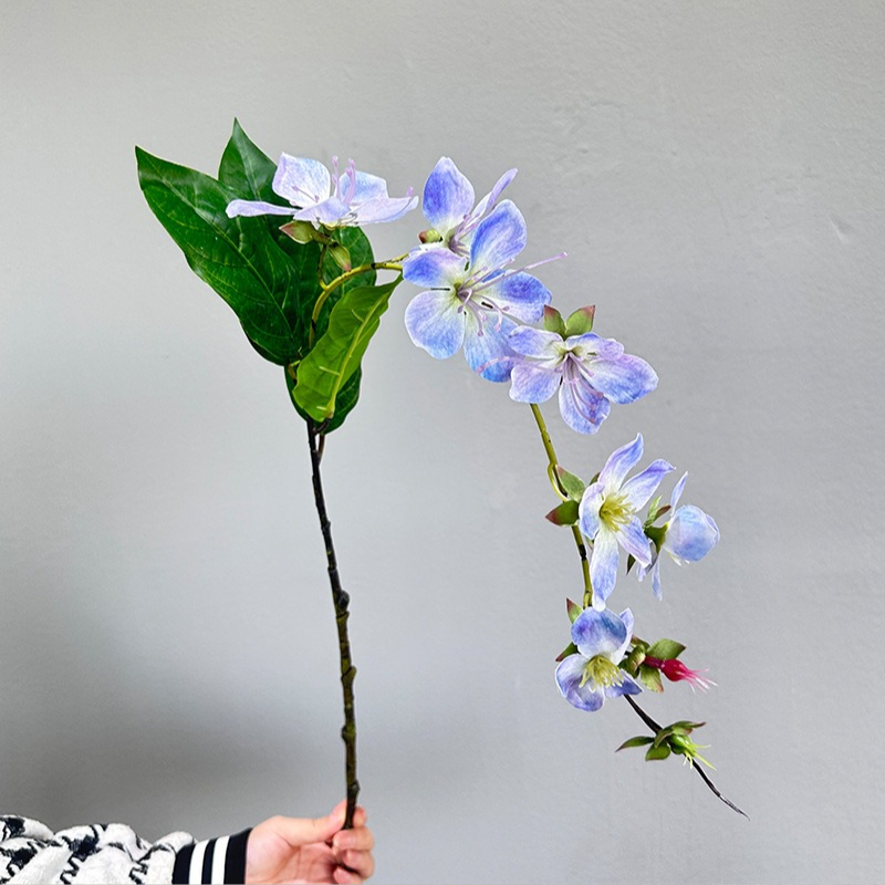 Yapay Asılı Yasemin Çiçeği Ev  - Photography Hotel incelemesi ve fiyatı
